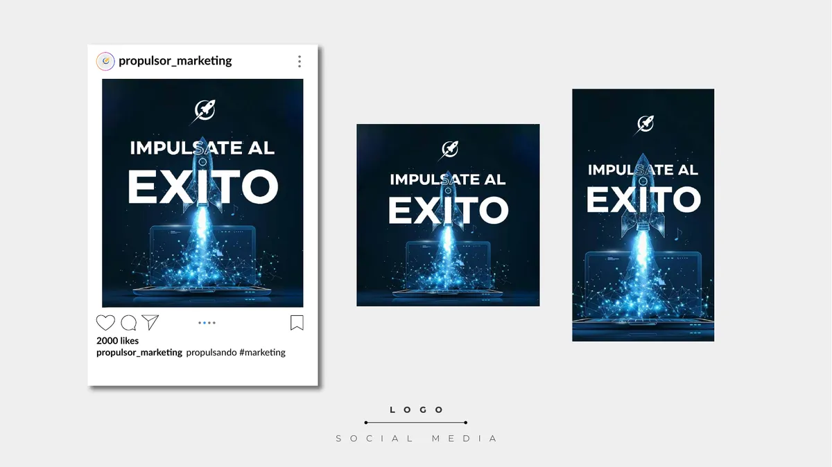 Manual de identidad visual de Marketing Propulsor