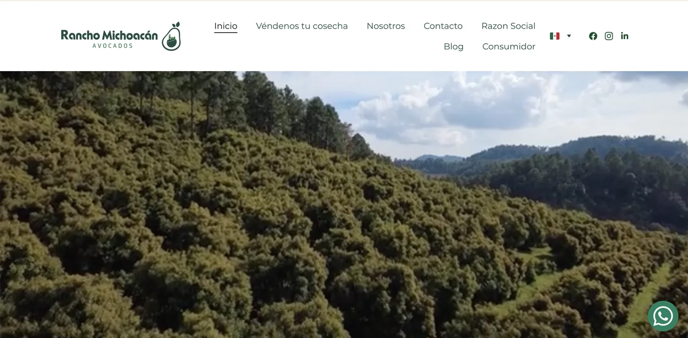 Captura del sitio web de Exportadora Rancho Michoacán